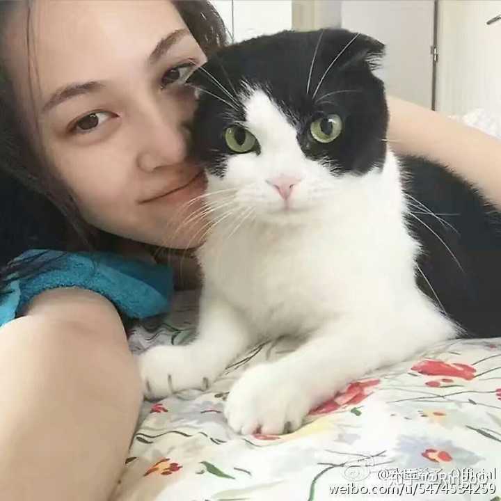 来个资深的没偏见的vip给我讲讲水原希子和权志龙的故事吧 知乎 来个资深的没偏见的vip给我讲讲水原希子和权志龙的故事吧 知乎