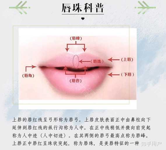 怎样区分唇珠? - 知乎