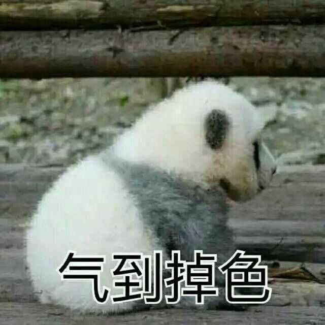 不兜母柙诙兑羯贤蝗换鹆耸窃跹恢中那?