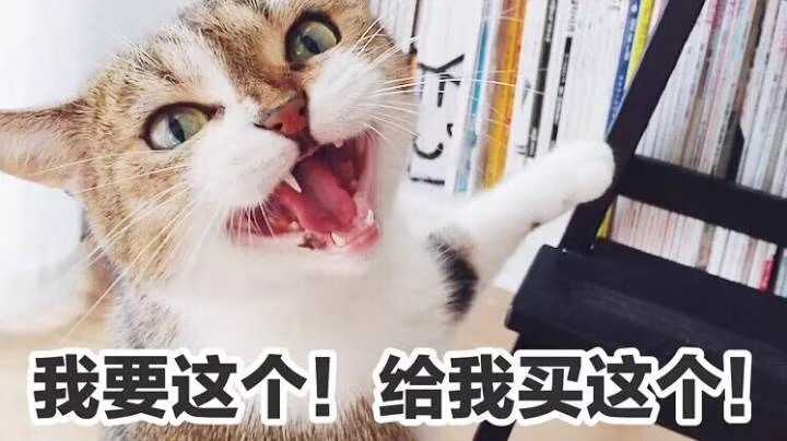 表面声嘶力竭,内心波澜不惊.
