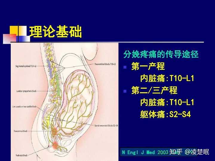 打了无痛分娩 脊椎 的顺产是怎样一种经历 知乎