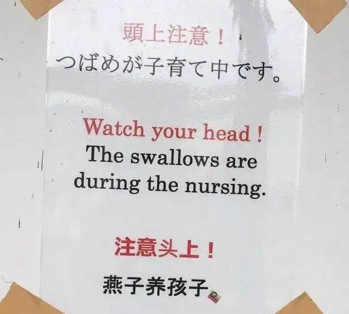 トップイメージカタログ 美しい 弁論 作文 例文