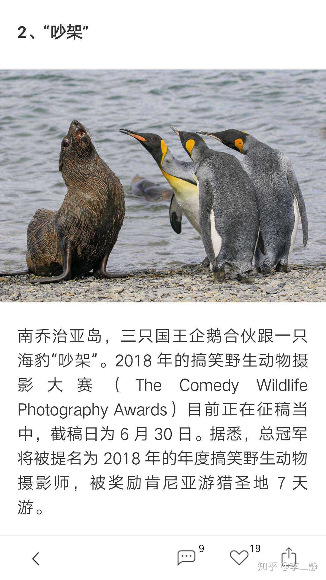 好想知道它们最后谁吵赢了