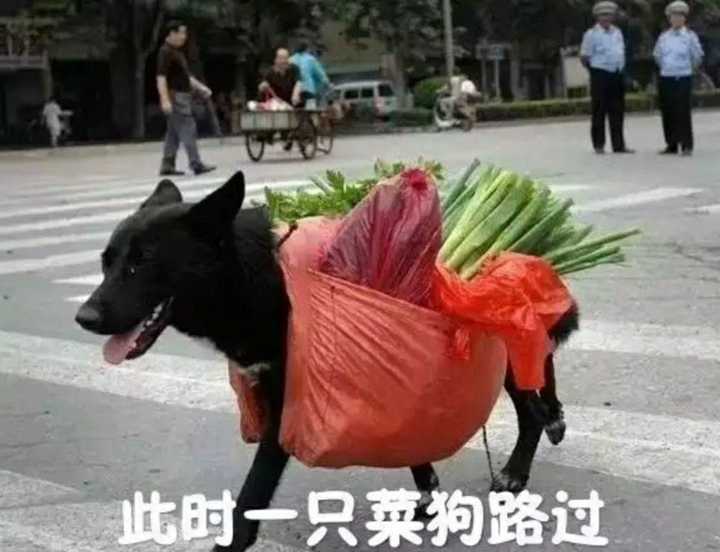 你的网络人生中第一个网名是什么?