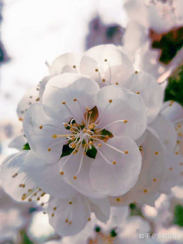 2020年,你拍过哪些好看的照片?