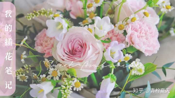 怎样延长鲜花的保鲜期 知乎