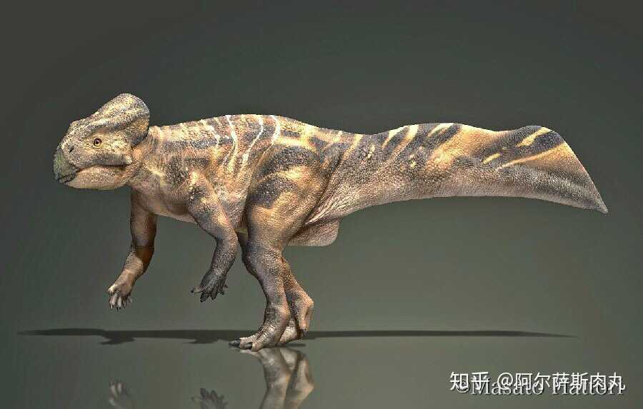半岛异类朝鲜角龙koreaceratops