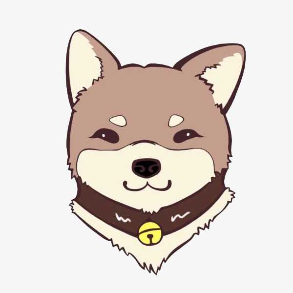 天津师范大学的广播电视编导,戏剧影视文学和摄影专业,哪个专业更好?