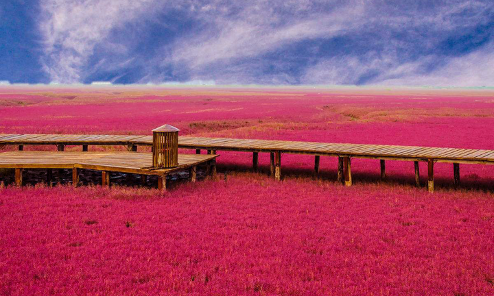 最近心情很丧,想出去旅游有什么地方好去?