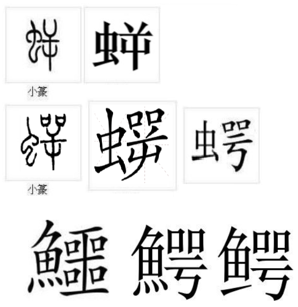 并不叫作鳄鱼,哪怕是到了唐宋时期,扬子鳄仍然称之为鼍,亦叫鼍龙或