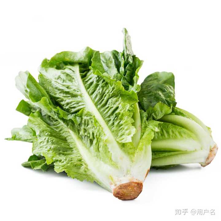 有一种蔬菜,大陆人叫做生菜,台湾人叫做大陆妹.