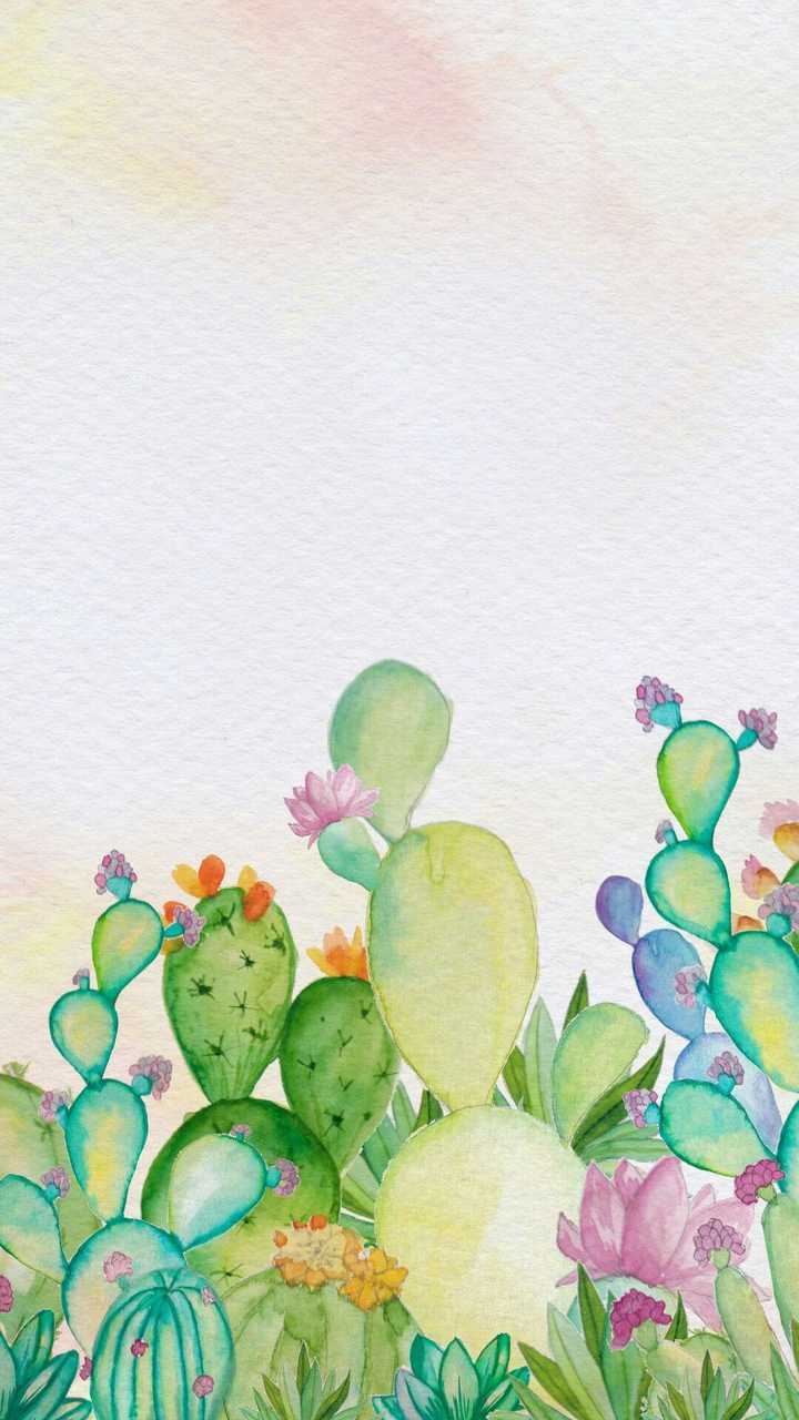 各位大神,有没有超级漂亮的仙人掌 的壁纸呀?