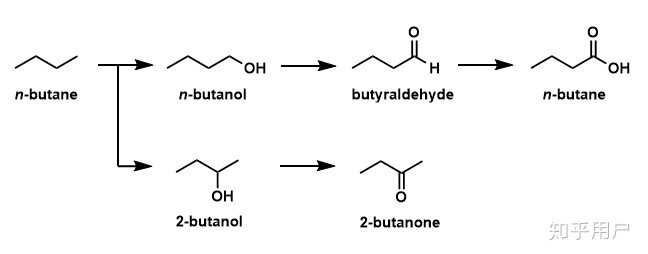 丁烷的有氧氧化:在单氧化酶作用下,丁烷被最终氧化为丁酸或2-丁酮
