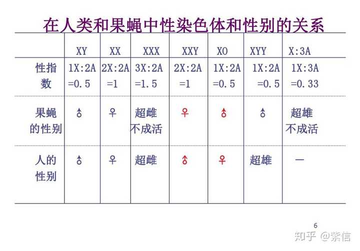 生物課應該有提到,yy是超雄體,會致死,可能是x染色體上的某些基因不可