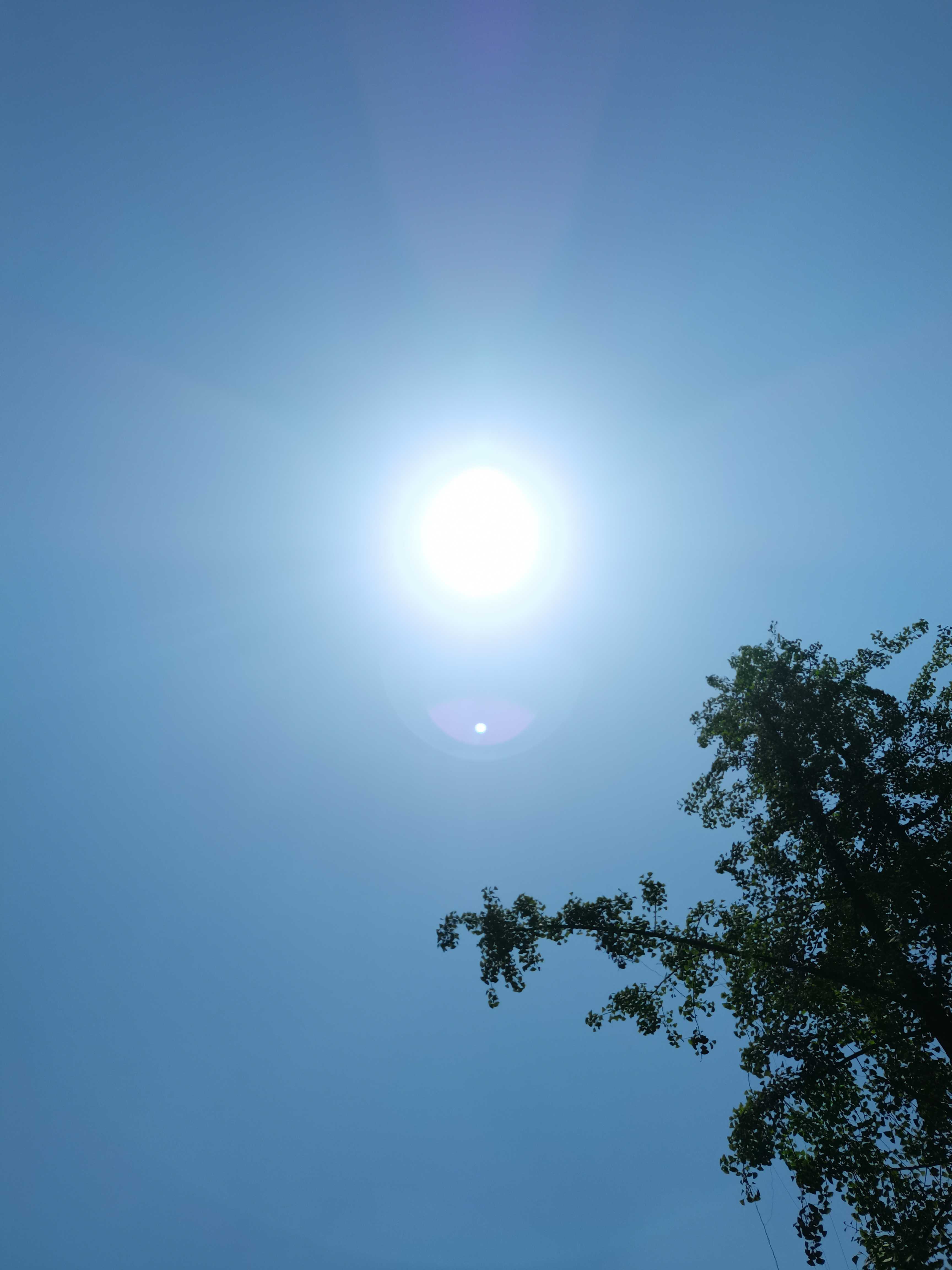 2018果酱 的想法: 重庆的太阳还是有点猛 没带夏天的衣服回… - 知乎