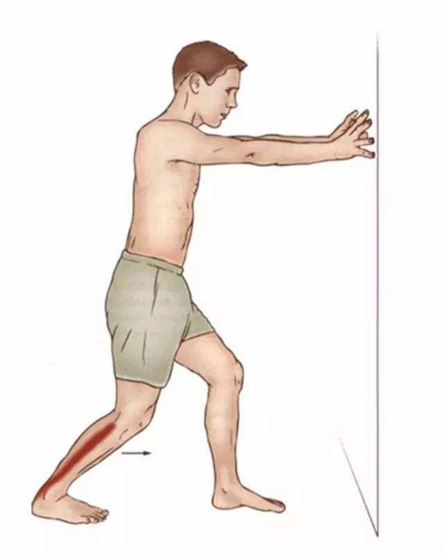 锻炼小腿三头肌的动作图片