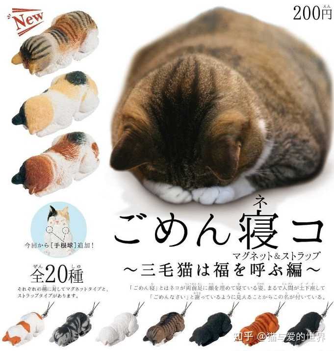 猫有哪些奇葩睡姿 猫与爱的世界的回答 知乎 猫有哪些奇葩睡姿 猫与爱的世界的回答 知乎