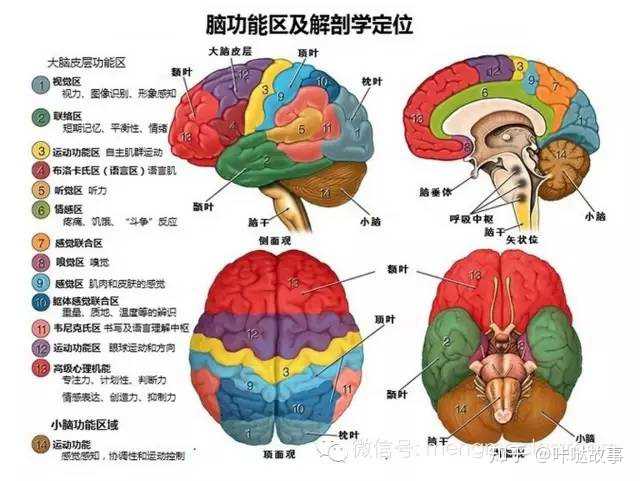 v2-1ebbbaaebf622b6ae8b13c025b6282cd_r.jpg