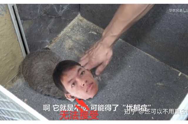 致我的孩子:你不好好学习就去这种学校