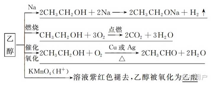 乙醇燃烧的化学方程式图片
