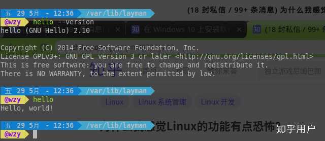 有道Linux版，探索其功能与优势，值得一试吗？  第1张
