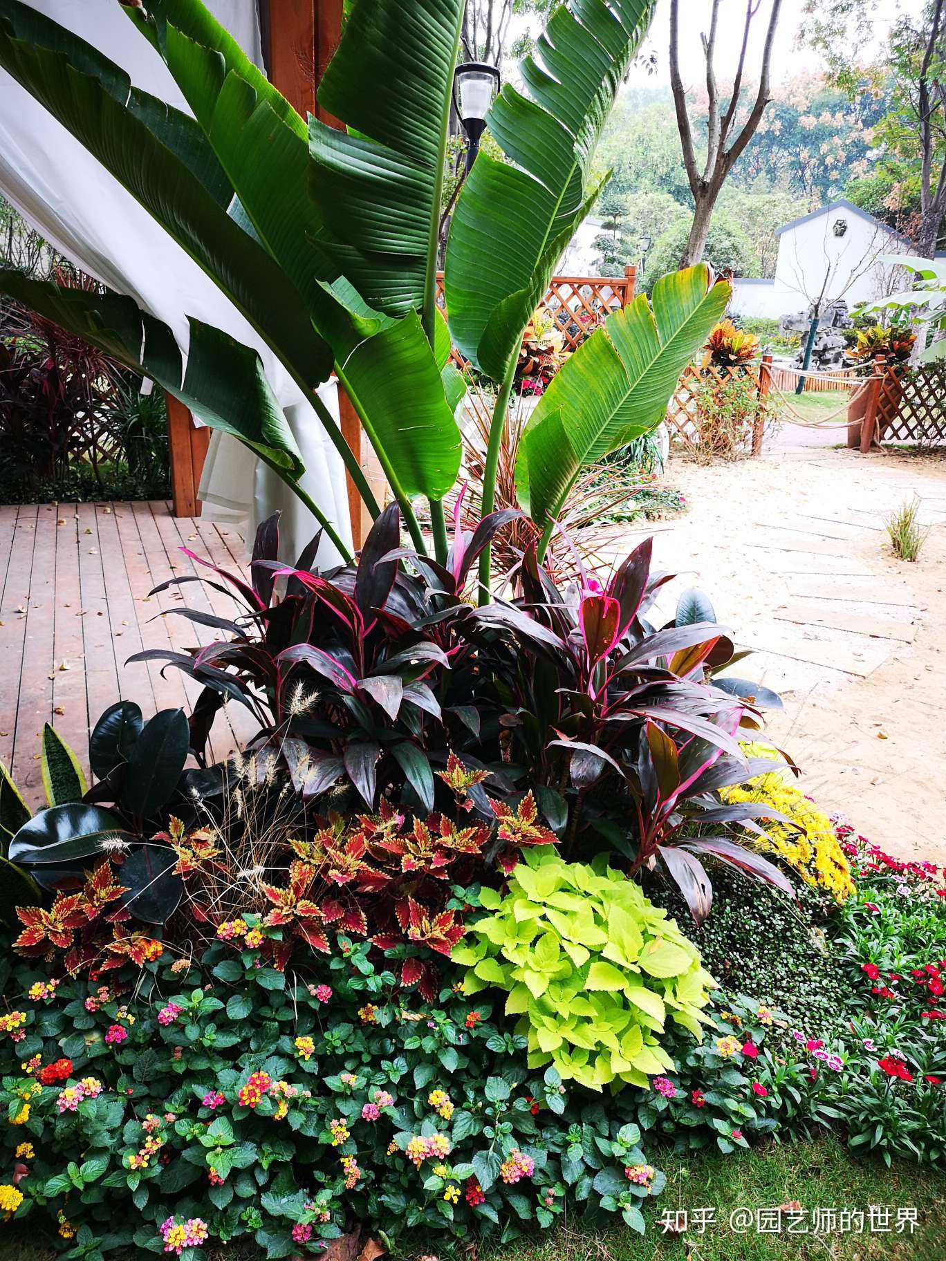花园# #庭院景观# 东南亚风格庭院 - 知乎