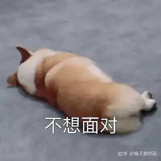 如何以 我养大了九皇子 他却想娶我 为开头写一篇文 知乎