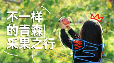 青森 知乎 青森 知乎