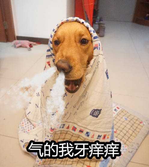 我们都不要太作了哦,这浮夸的年代有个相爱的人不容易,要好好爱好好在