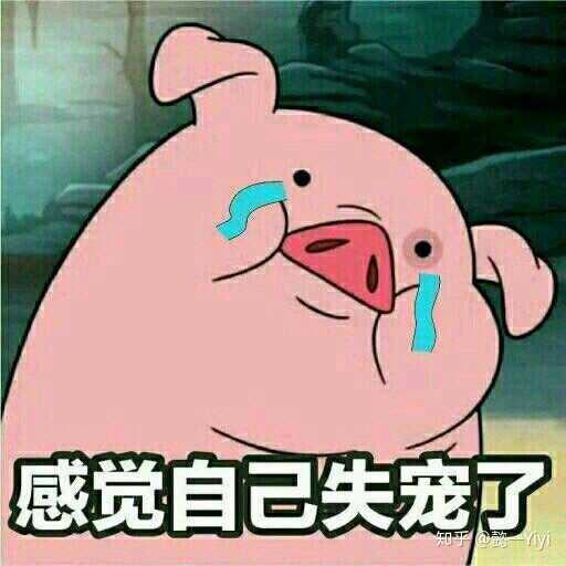 高考妙记下载不了,登不上去了?