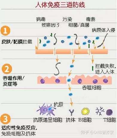 为什么天坛生物决议中止COVID-19免疫球蛋白的临床实验？背面原因解析！