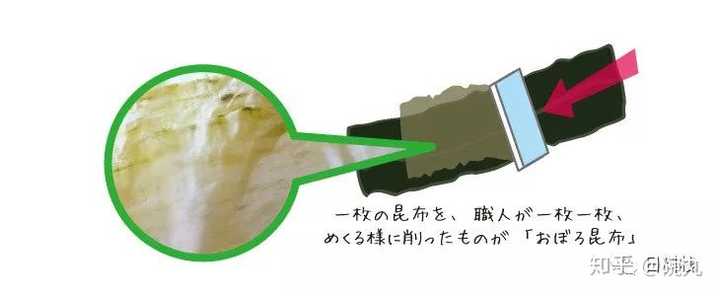 昆布和海带是一个东西吗 知乎