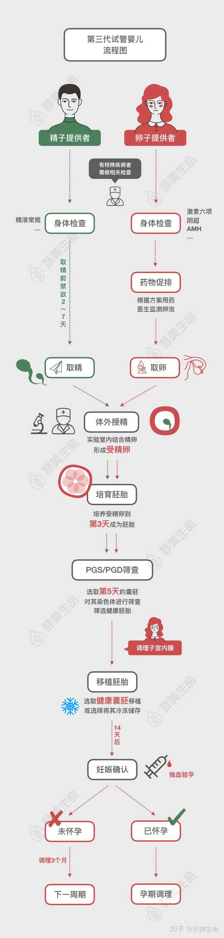 做试管婴儿的流程是怎样的 知乎