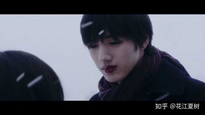 如何评价 三角草的春天 知乎 如何评价 三角草的春天 知乎
