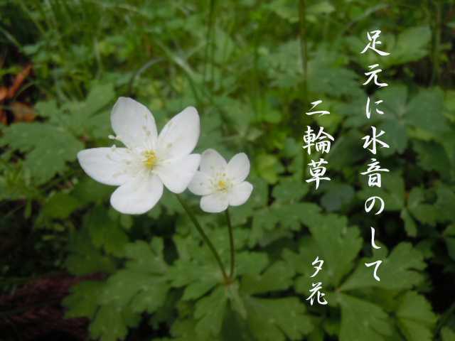 有哪些名字配不上本尊的植物 动物吗 Muscat 的回答 知乎 有哪些名字配不上本尊的植物 动物吗 Muscat 的回答 知乎