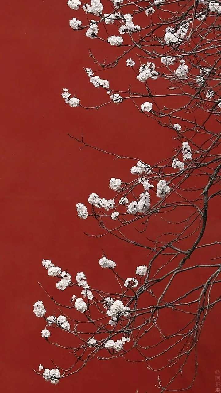 有没有炒鸡好看的红色壁纸或者头像?