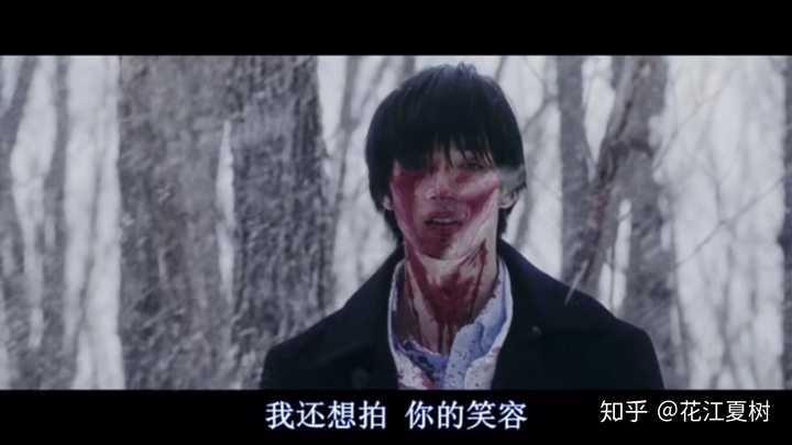 如何评价 三角草的春天 知乎 如何评价 三角草的春天 知乎