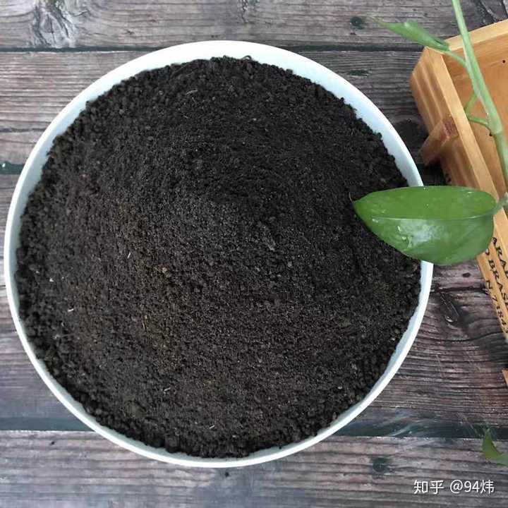 多肉植物的培养土怎么配 知乎 多肉植物的培养土怎么配 知乎