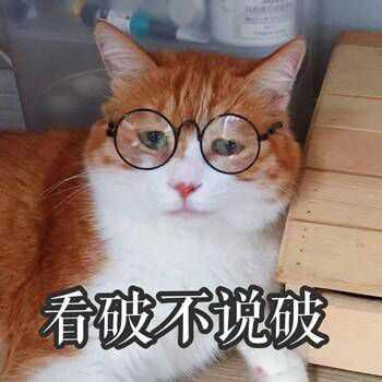 如何看待小智主播低素质的行为?