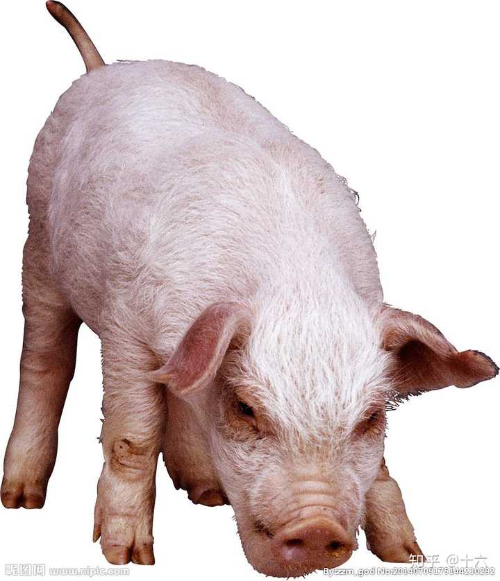 我平时拍的证件照脸就跟大饼一样,五官又各种缺陷,而且还是精修过的