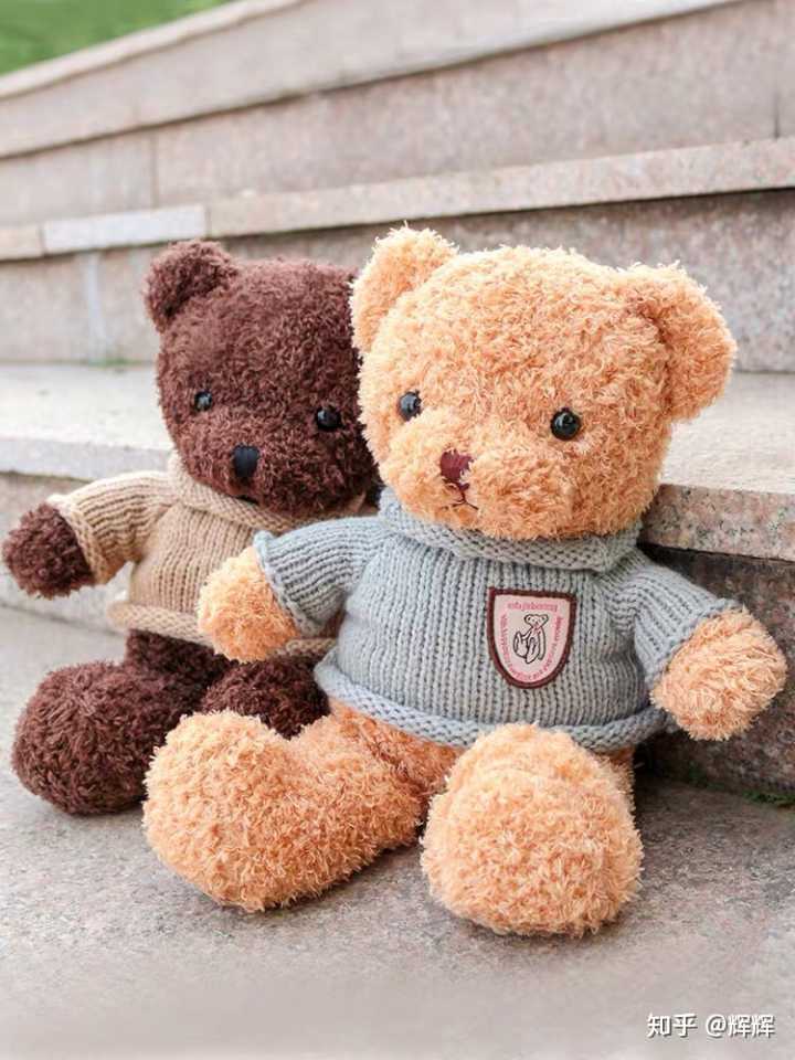 有什么渠道可以购买到下图抱抱熊公仔