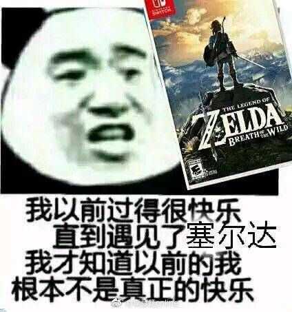萨尔达攻略