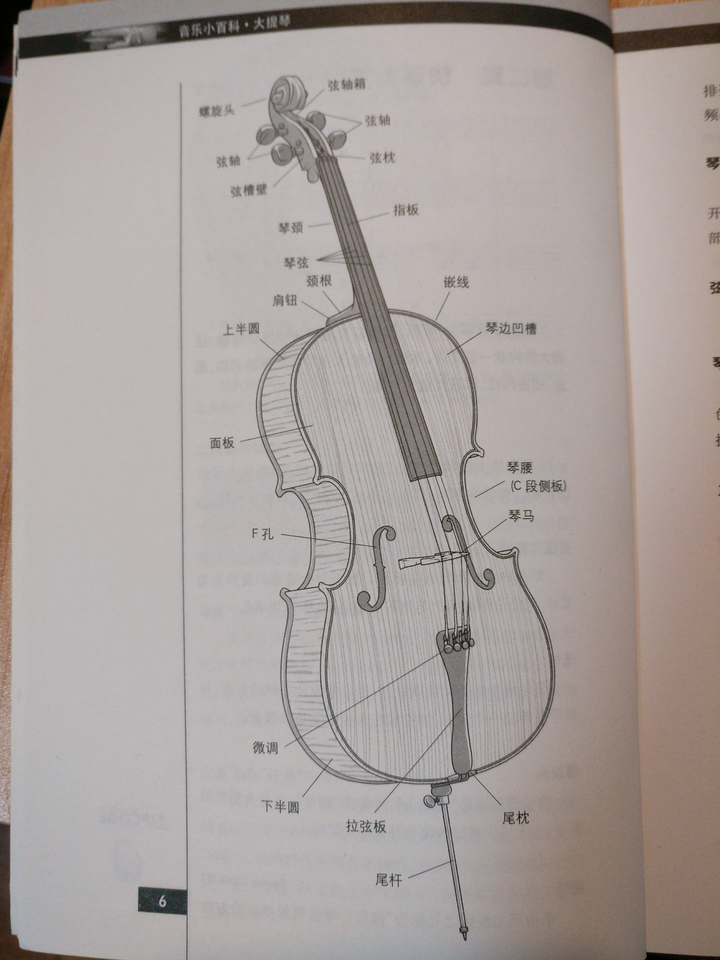 大提琴音柱安装位置图图片