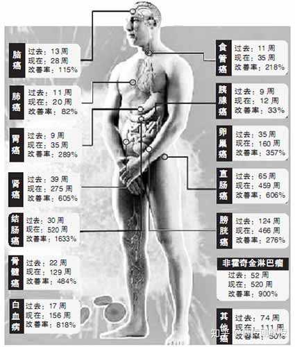 知乎