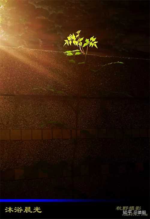 屏幕的对比度是不是越高越好 知乎