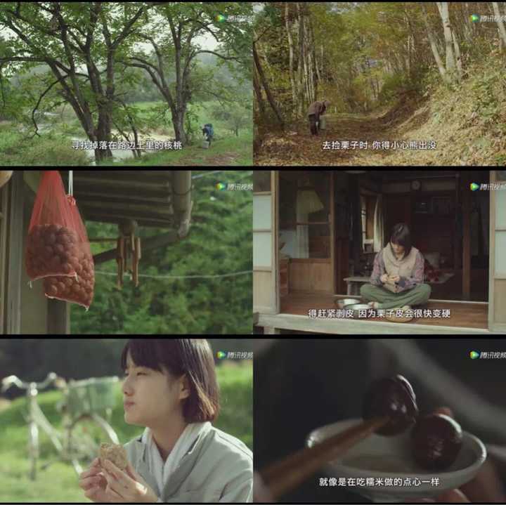 如何评价电影《小森林?