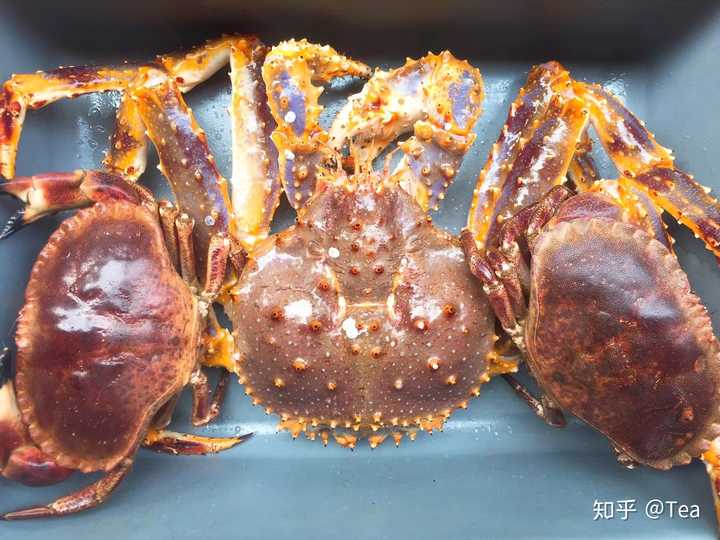 帝王蟹这种东西为什么只吃大腿 知乎