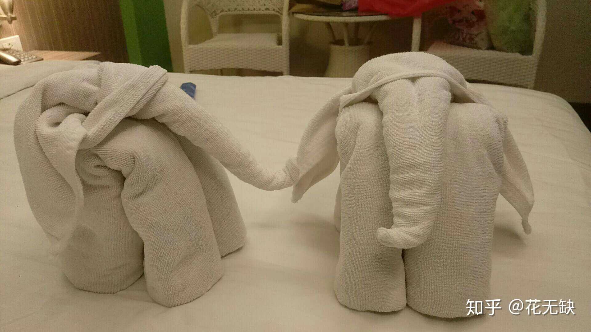 毛巾大象叠法图片