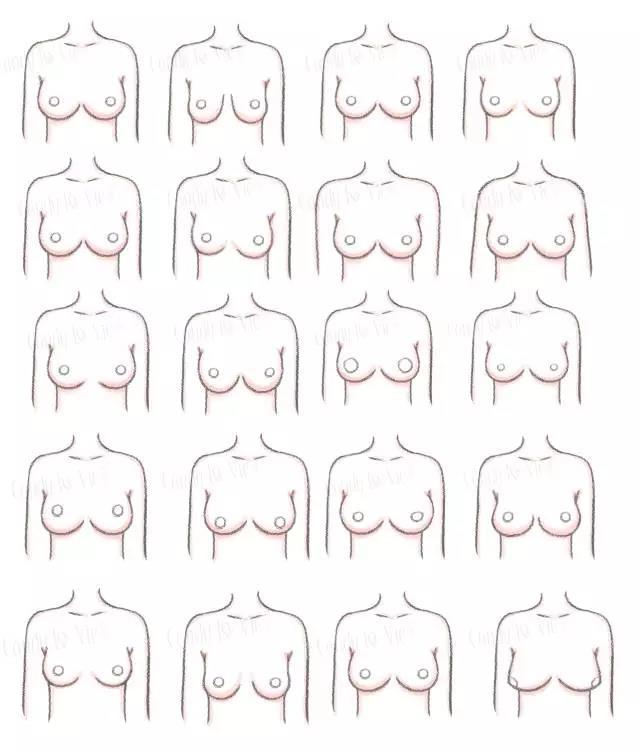 女生胸大小分类图片