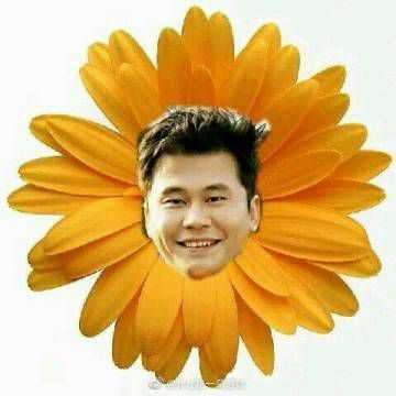 如何评价yg新社长黄宝京?新增一条,评价一下杨菊花?